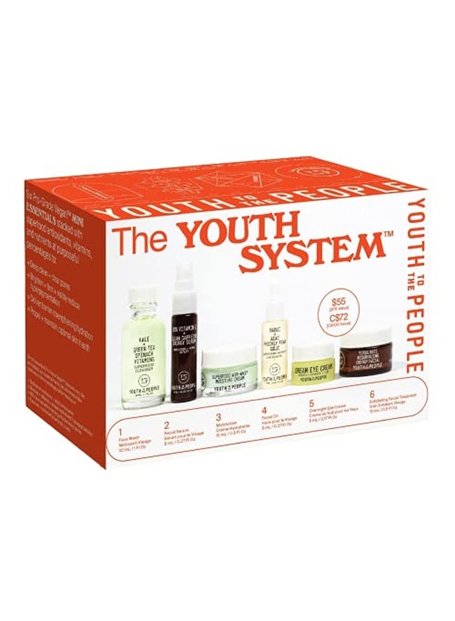 The Youth System Multicolour
