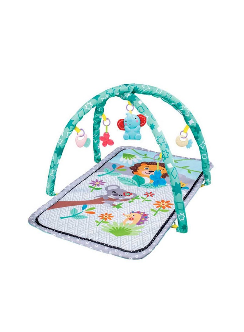 Multifunction Newborn Baby Musical Gym Play Mat for Lay and Play, Tummy Time And Take Along