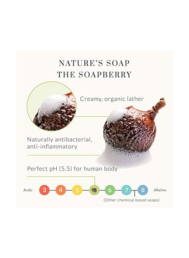 Soap Berry Shampoo