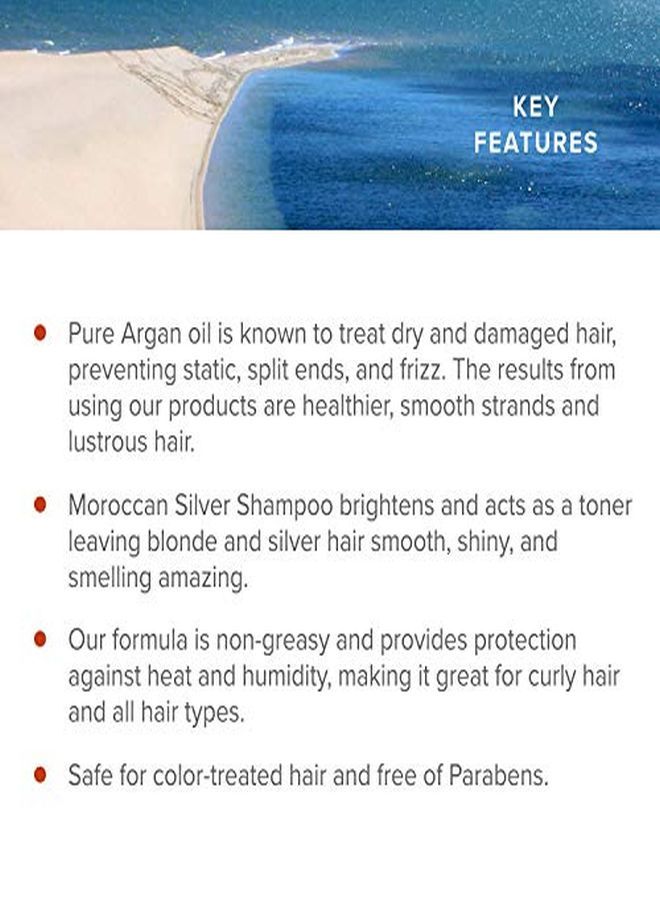 Ampoo 300 Ml /10.05 Fl.Oz | Purple Shampoo For Blond Hair & Grey Hair|Lights Shampoo For Blond & Silver Hair |AntiYellow Shampoo | ParabenFree | Royal Moroccan Argan Oil Hair Products