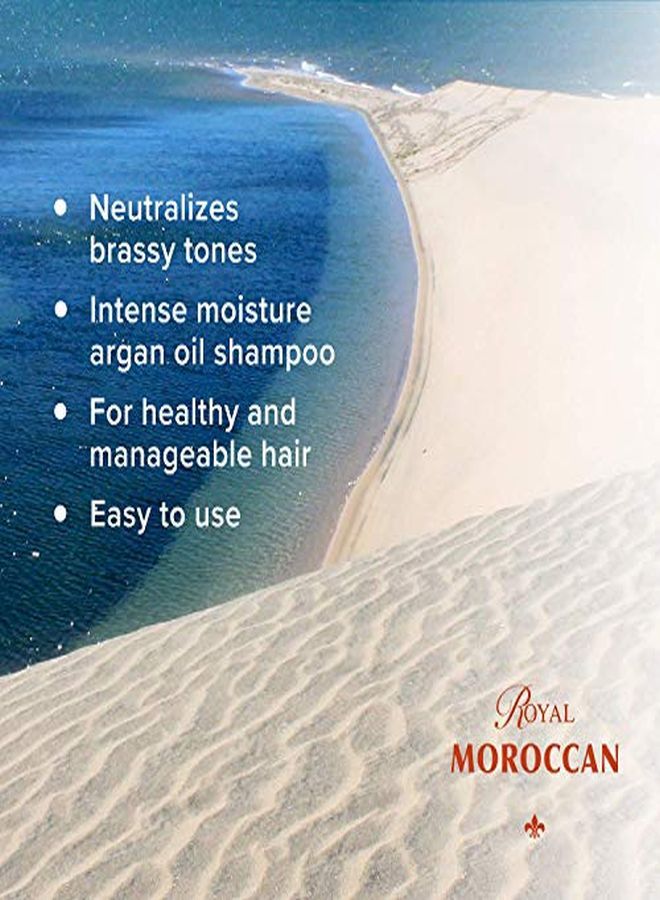 Ampoo 300 Ml /10.05 Fl.Oz | Purple Shampoo For Blond Hair & Grey Hair|Lights Shampoo For Blond & Silver Hair |AntiYellow Shampoo | ParabenFree | Royal Moroccan Argan Oil Hair Products