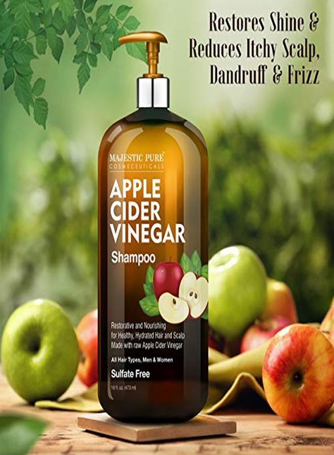Apple Cider Vinegar Shampoo  Restores Shine & Reduces Itchy Scalp Dandruff & Frizz  Sulfate Free For All Hair Types Men And Women  16 Fl Oz
