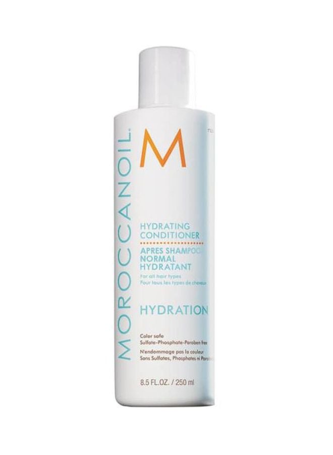 Moisture Repair Conditioner 250ml