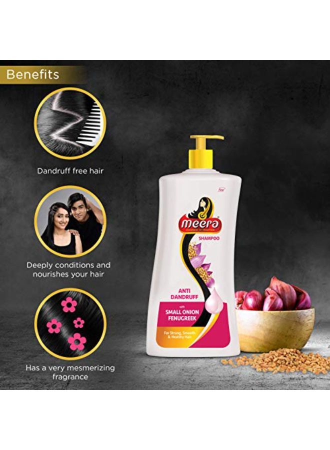 Anti Dandruff Shampoo, With Goodness Of Small Onion And Fenugreek, For Men And Women, 1L