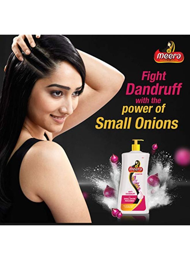 Anti Dandruff Shampoo, With Goodness Of Small Onion And Fenugreek, For Men And Women, 1L