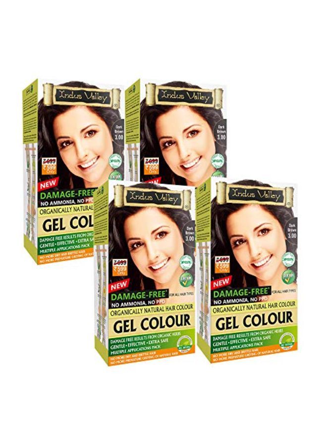 Permanent Herbal Damage Free Gel Colour Dark Brown 3.0 For Color Hair (Set Of 4) 20G*4=80G, 200Ml*4=800Ml