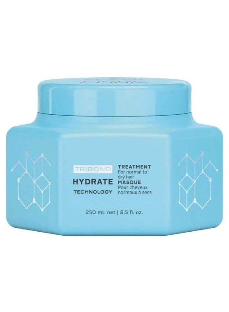 Schwarzkopf Fibre Clinix Hydrate Technology Treatment Masque for Dry hair 250ml