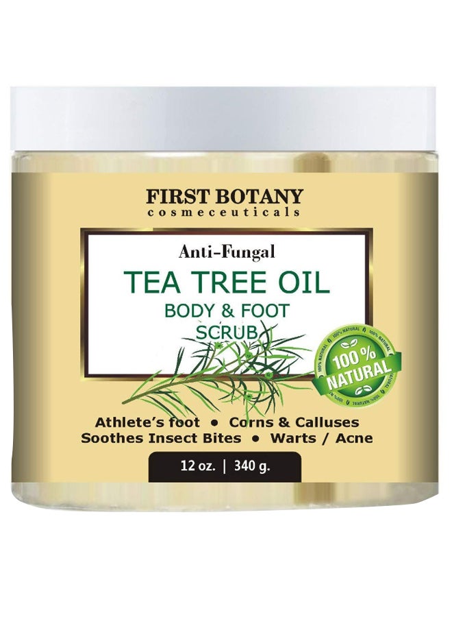 Natural Anti Fungal Tea Tree Oil Body And Foot Scrub