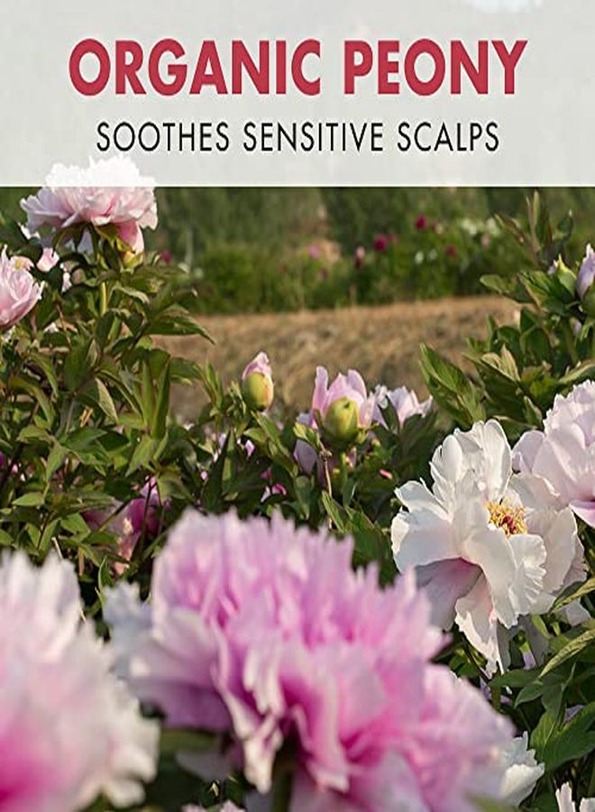 Soothing Scalp Serum With Peony 34 Fl Oz