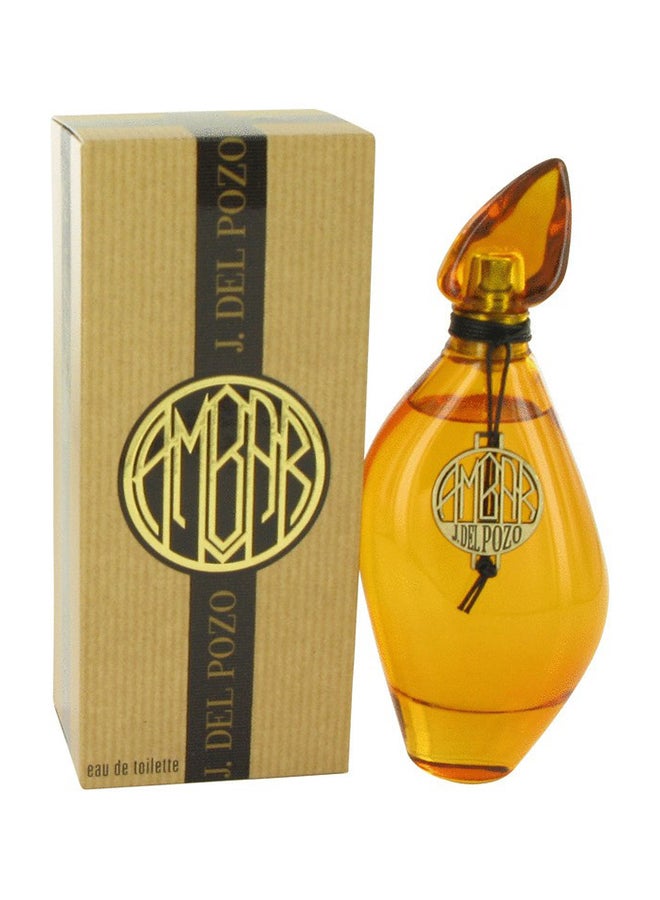 J.Del Pozo Ambar (M) Edt 100ml