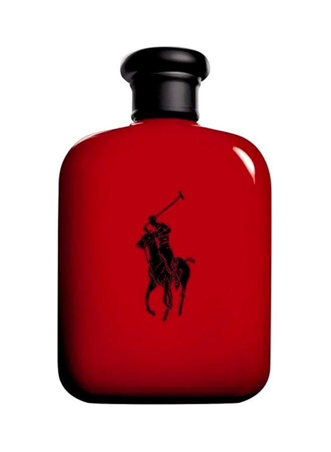 Polo Red EDT 75ml