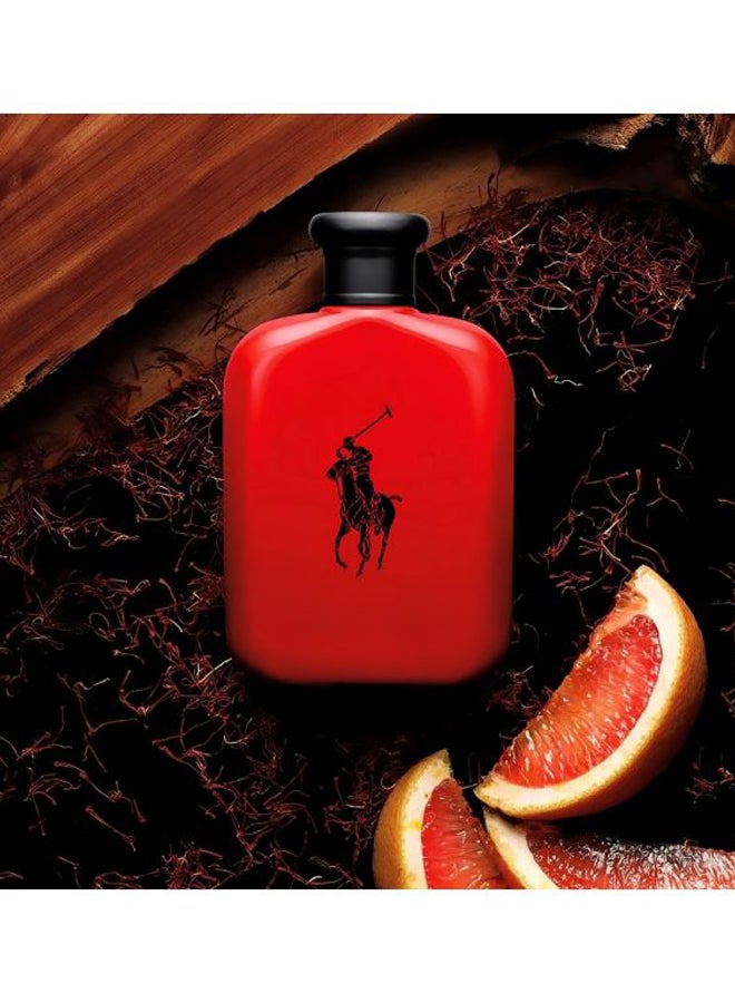 Polo Red EDT 75ml