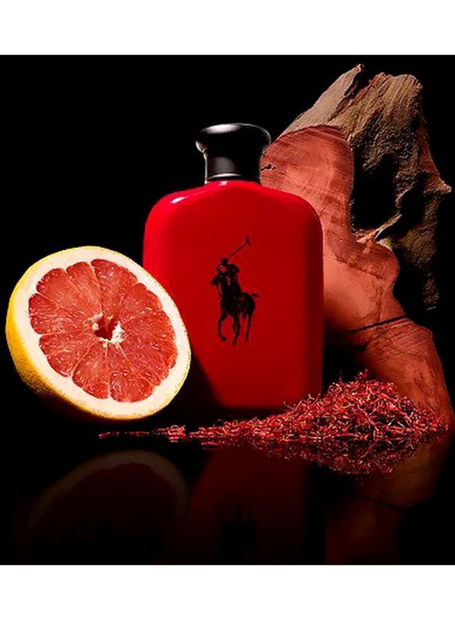 Polo Red EDT 75ml