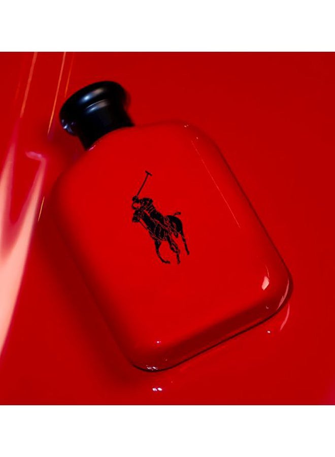 Polo Red EDT 75ml