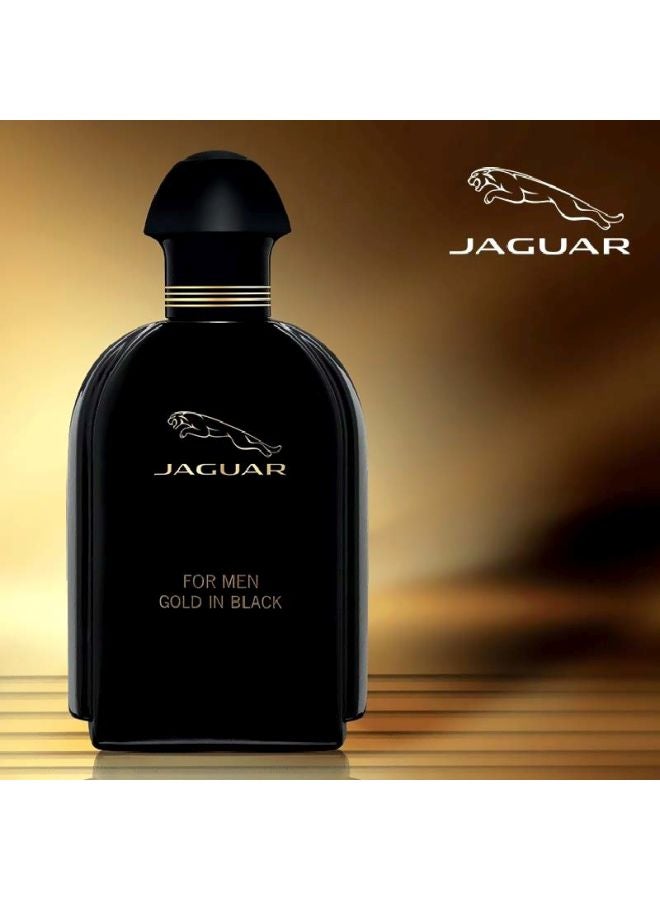 2-Piece Gold In Black EDT Set 2x100ml