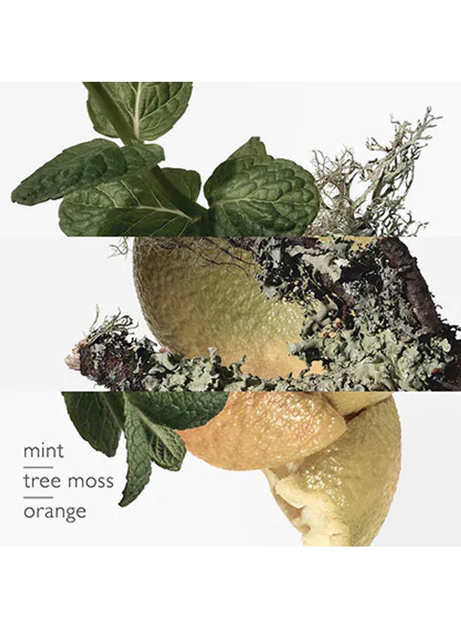 Eau D'Orange Verte EDC 100ml