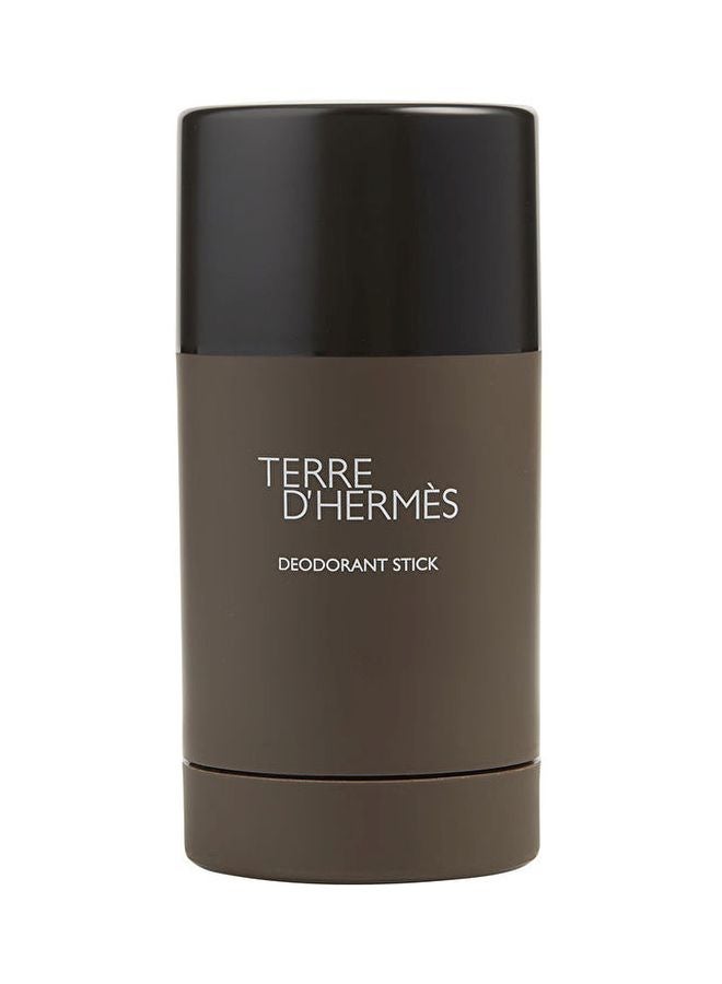 Terre D'Hermes Deodorant Stick