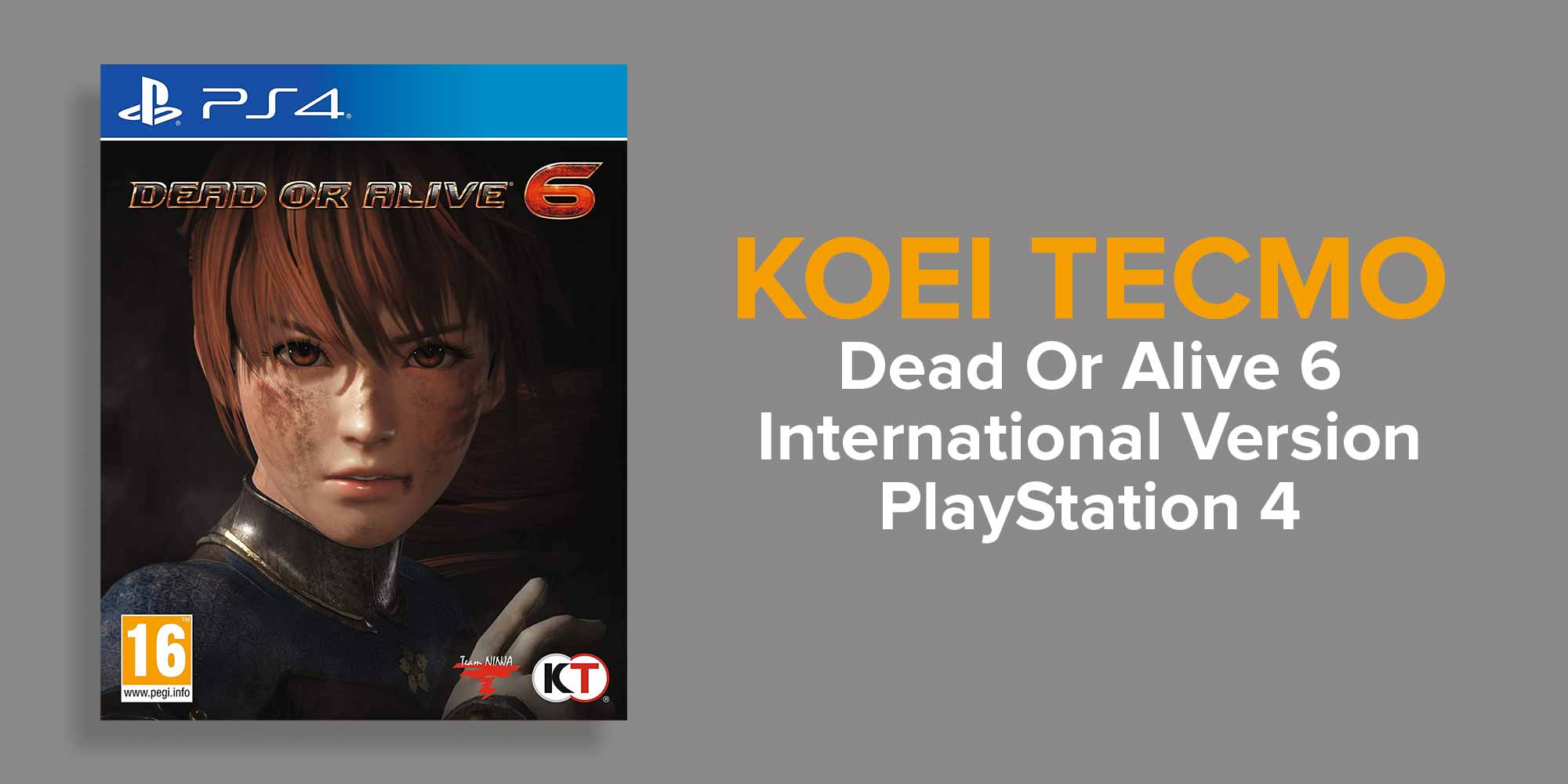 Dead Or Alive 6 (Intl Version) - PlayStation 4 (PS4)