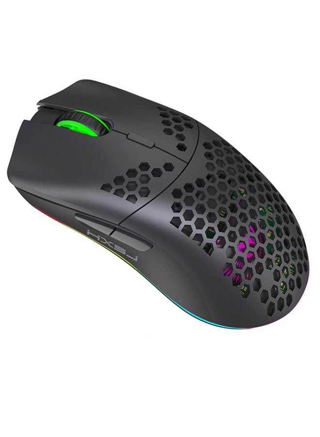 Ergonomic Design 2.4G Wireless RGB Gaming Mouse With Nano Receiver