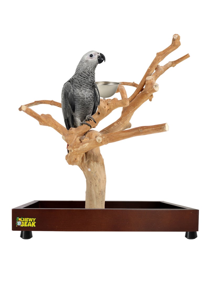Bird Stand Table Top Natural wooden Parrot Play Stand Indonesian Java wood Tree Perches with Stainless steel feeder medium size