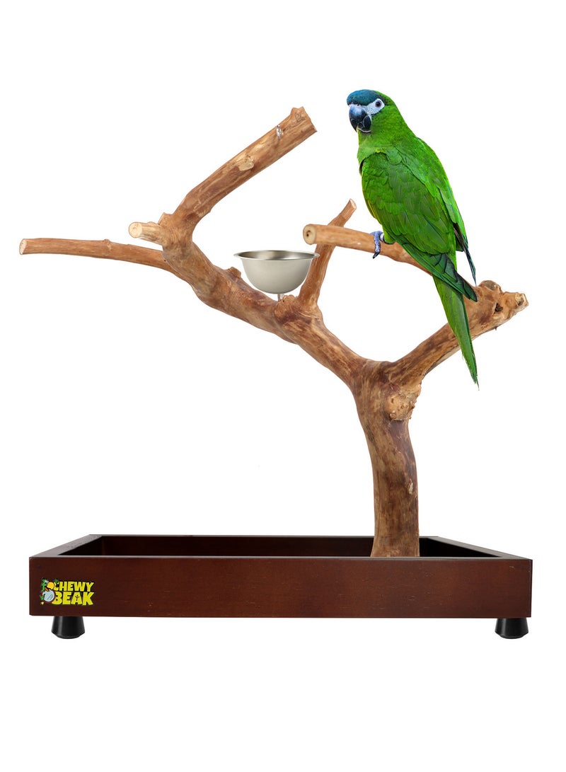 Bird Stand Table Top Natural wooden Parrot Play Stand Indonesian Java wood Tree Perches with Stainless steel feeder small size