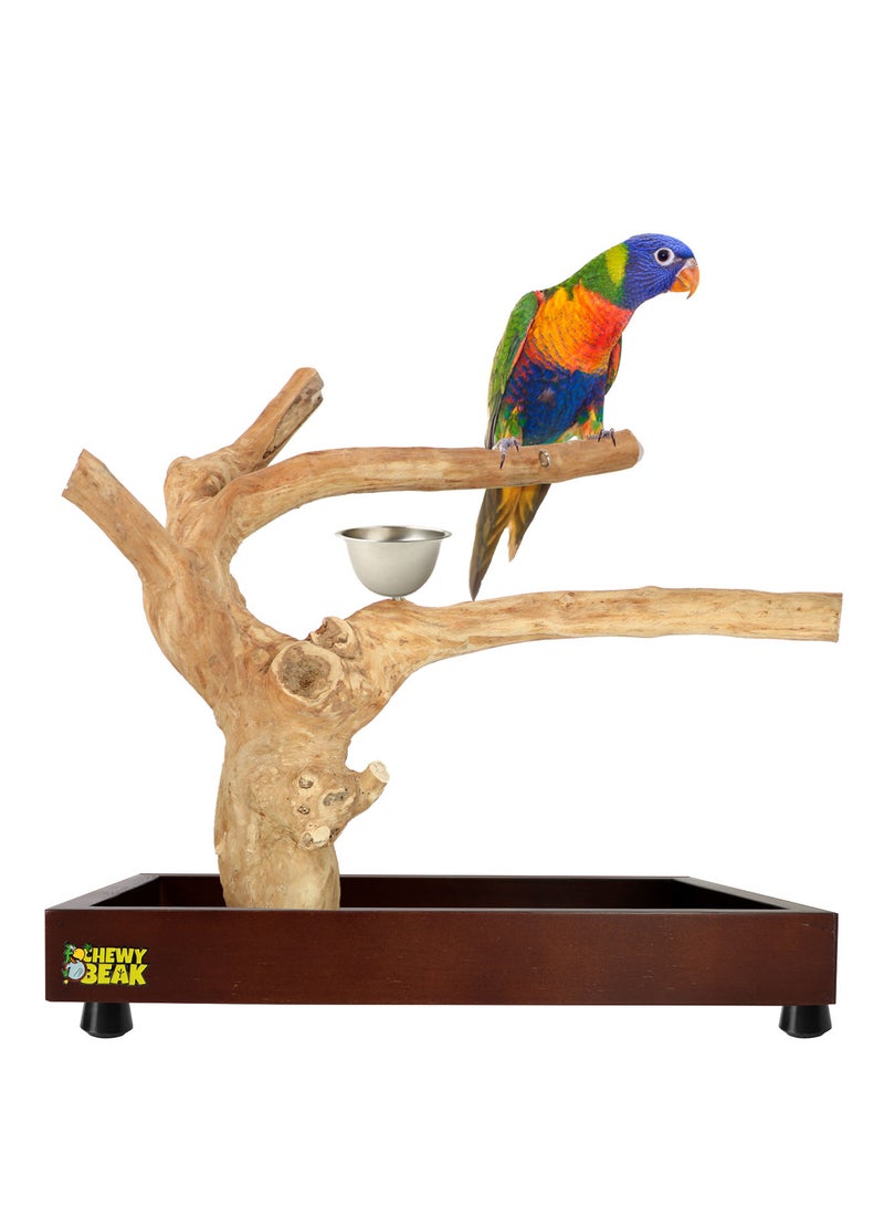Bird Stand Table Top Natural wooden Parrot Play Stand Indonesian Java wood Tree Perches with Stainless steel feeder small size