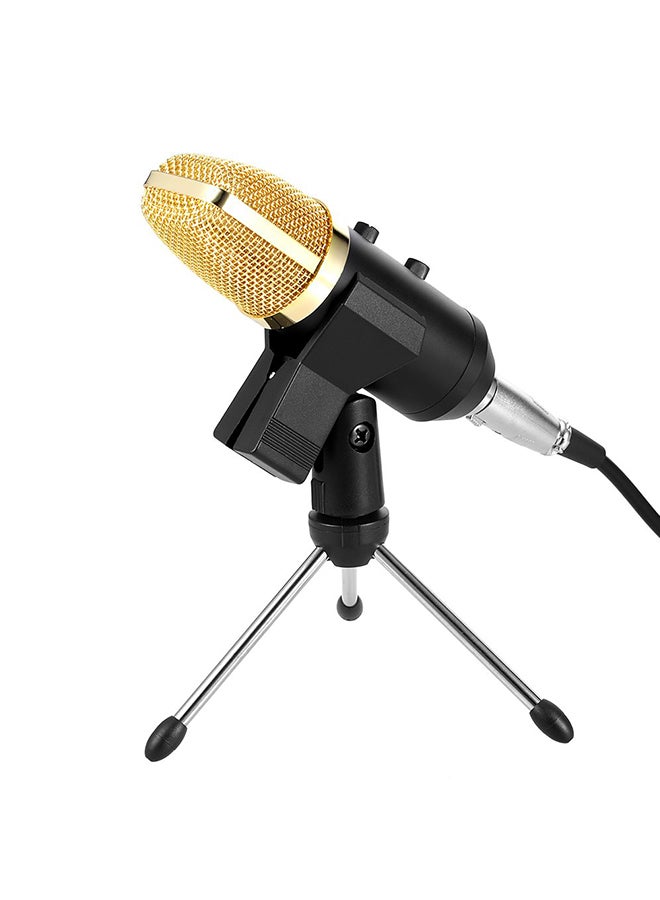 Professional Broadcasting Studio Recording Condenser Microphone 4457300182 Gold/Black