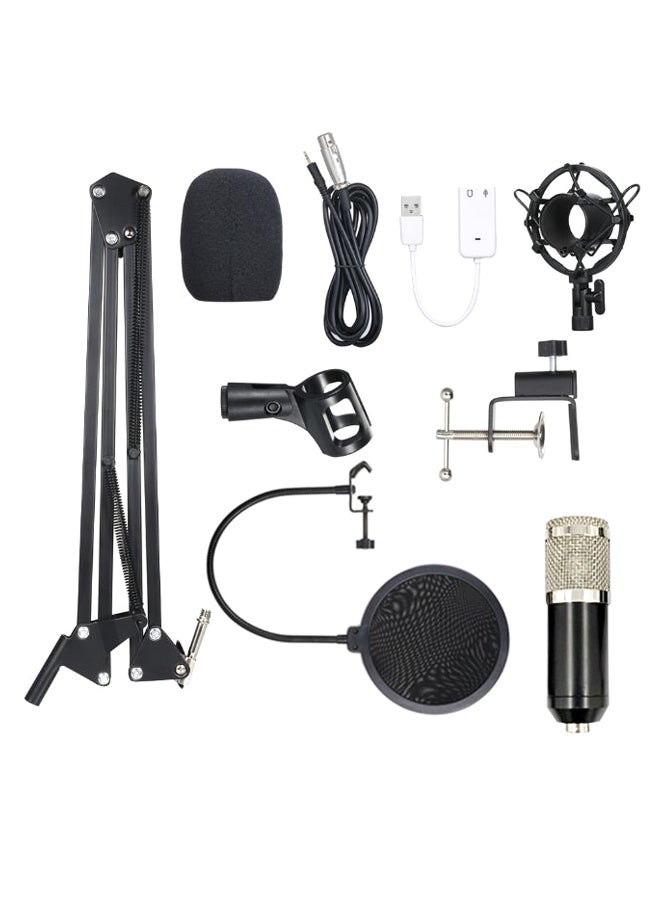 Recording And Broadcasting Condenser Microphone 1D7066BS Black/Silver/White