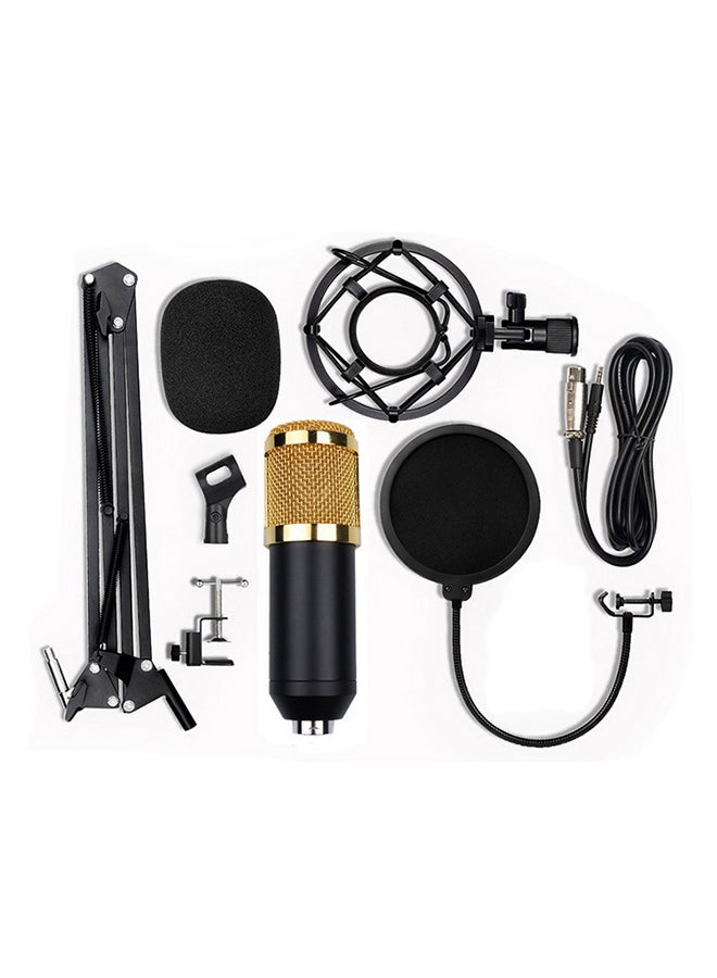 Professional Suspension Microphone Kit Live Broadcasting Recording Condenser Set BM8001 Gold