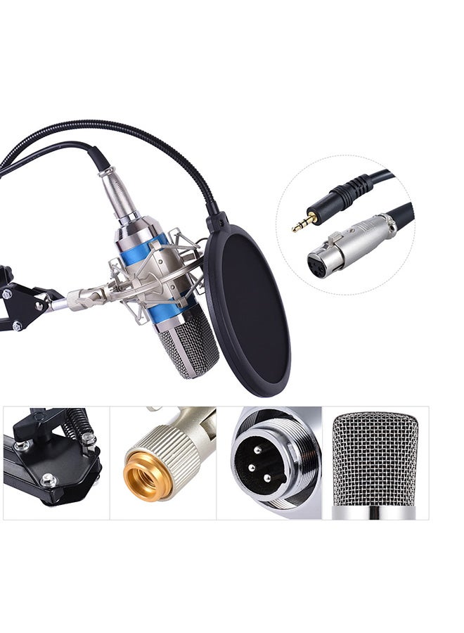 7 Piece Broadcasting Studio Recording Condenser Microphone Kit 1389799 Blue/Black/Silver