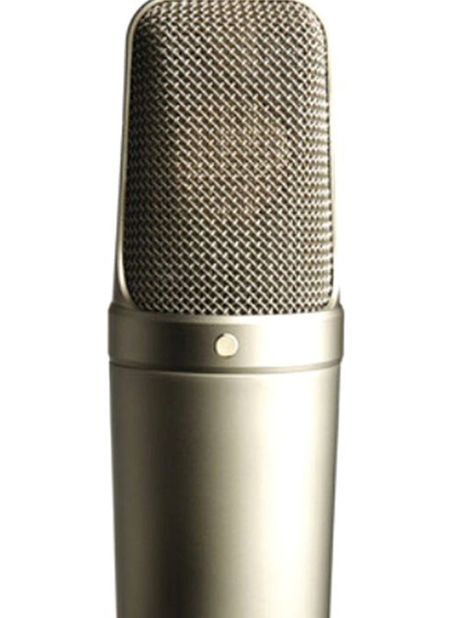 Studio Condenser Microphone NT1000 Silver/Black