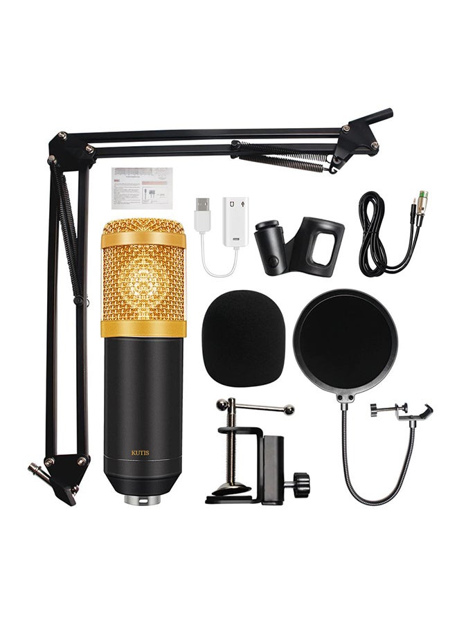 Professional Studio Recording Condenser Microphone Kit V8013 Black/Gold/White