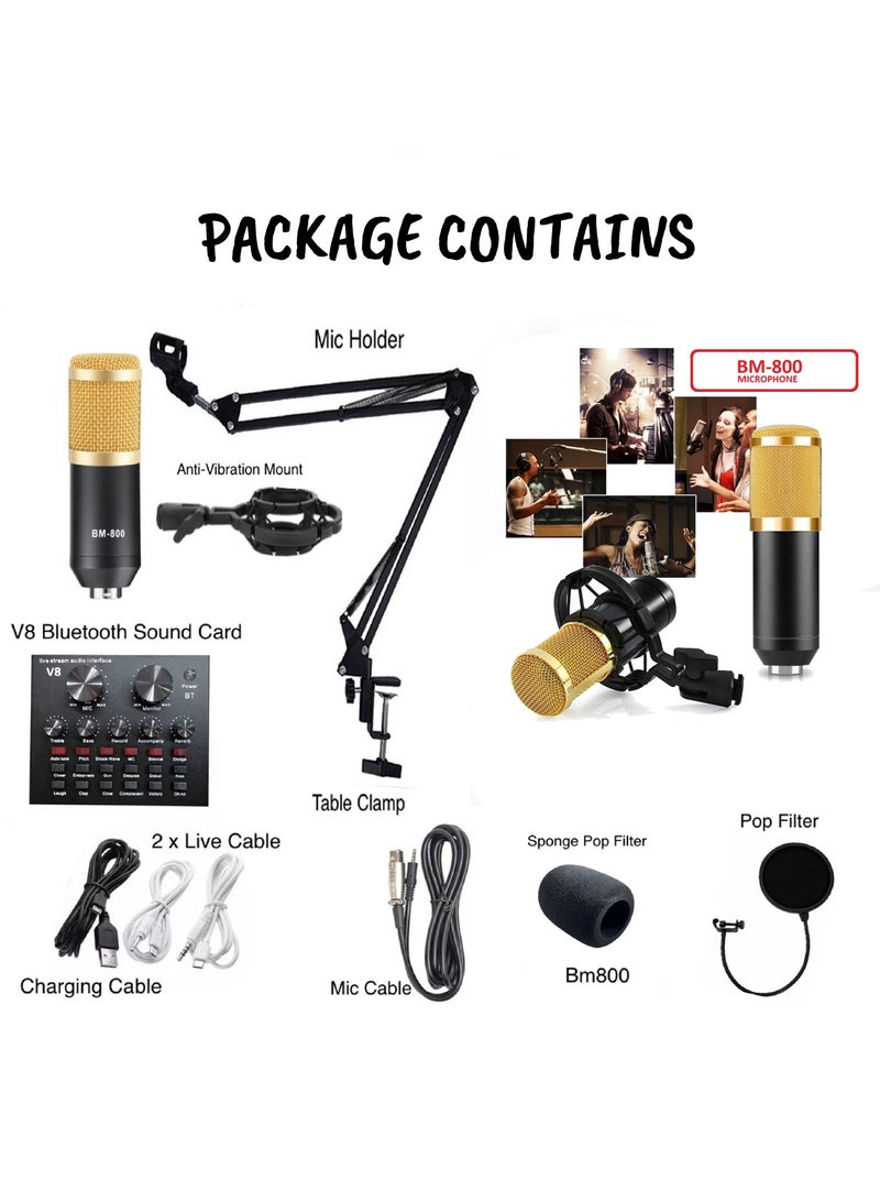 BSNL Professional Condenser Microphone Bundle Mic Kit with V8 Audio Sound Card And Metal Stand For Live Streaming Recording Broadcasting