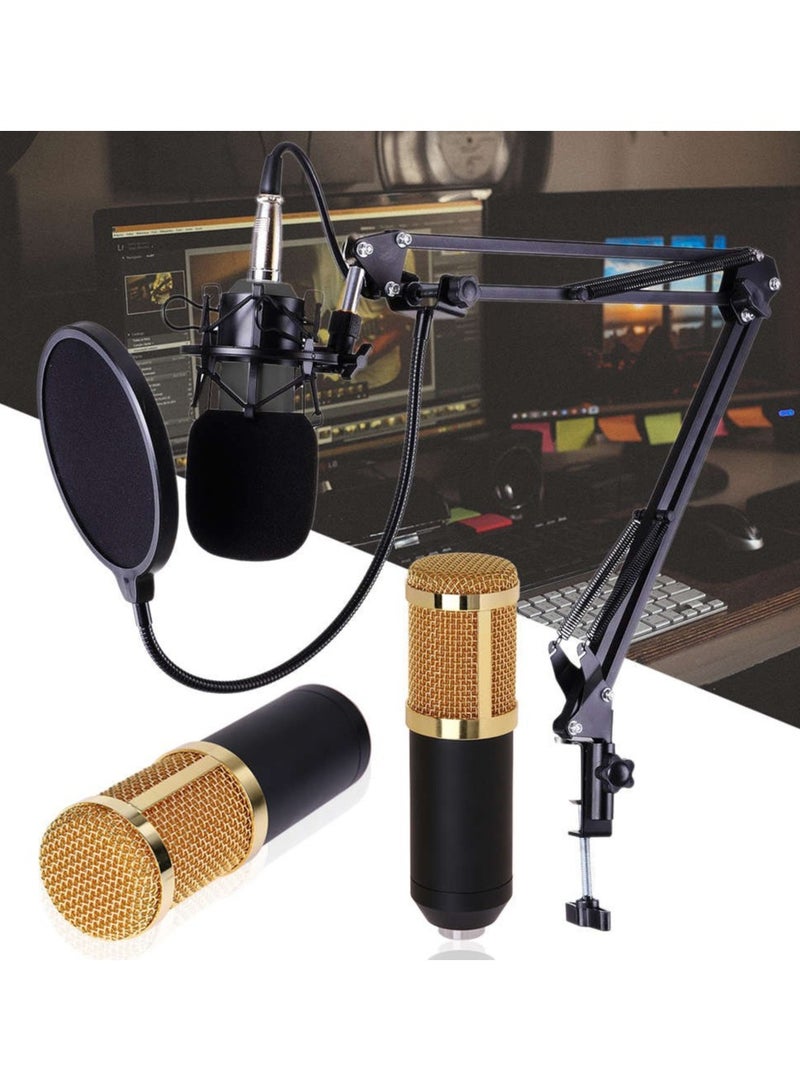 BSNL Professional Condenser Microphone Bundle Mic Kit with V8 Audio Sound Card And Metal Stand For Live Streaming Recording Broadcasting