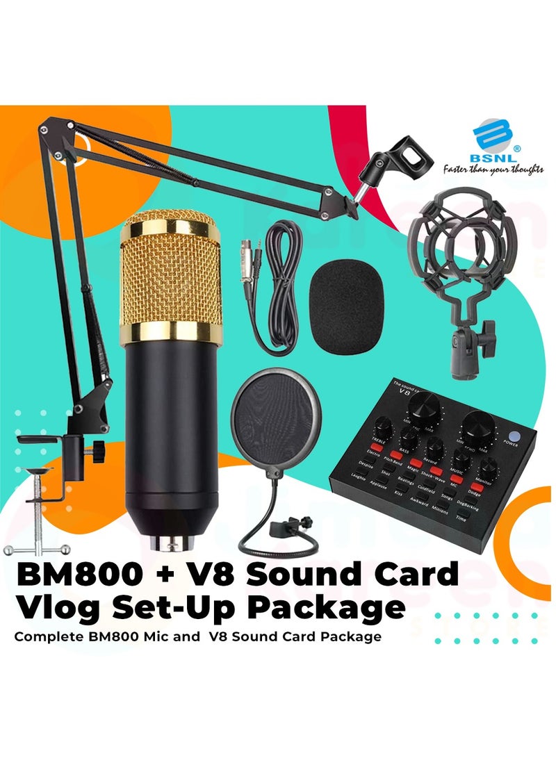 BSNL Professional Condenser Microphone Bundle Mic Kit with V8 Audio Sound Card And Metal Stand For Live Streaming Recording Broadcasting