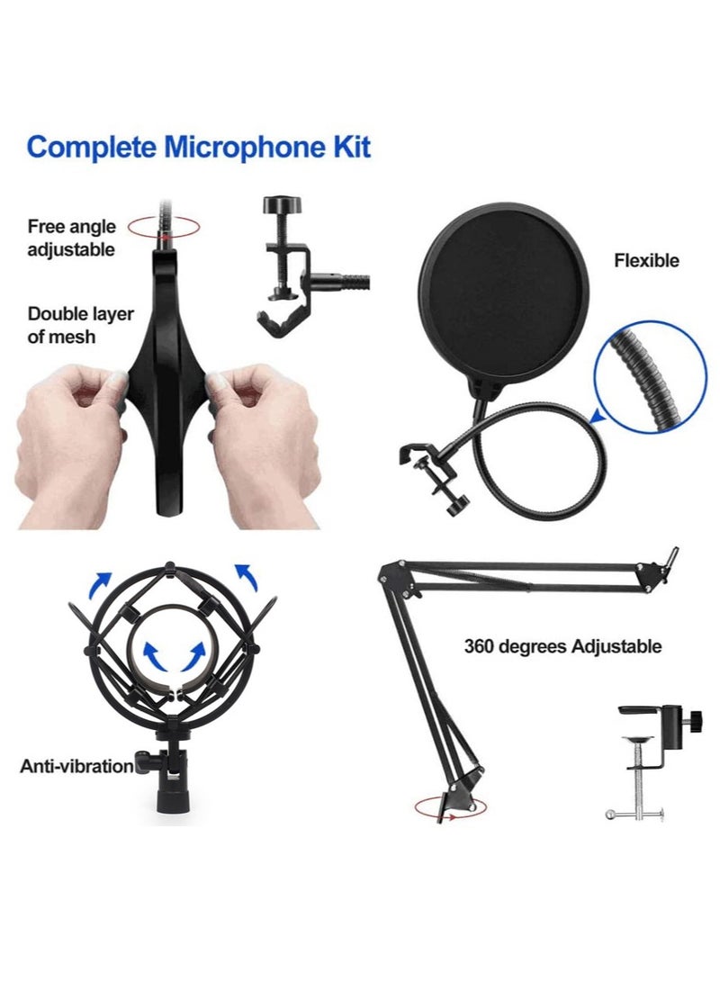 BSNL Professional Condenser Microphone Bundle Mic Kit with V8 Audio Sound Card And Metal Stand For Live Streaming Recording Broadcasting