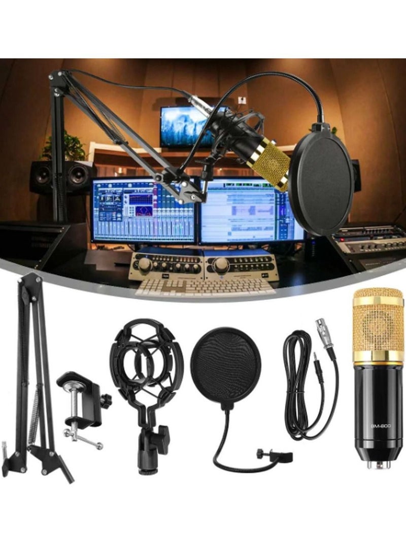 Multifunctional Live Sound Card Microphone Set Condenser Mic With Phantom power for YouTube/Gaming Record
