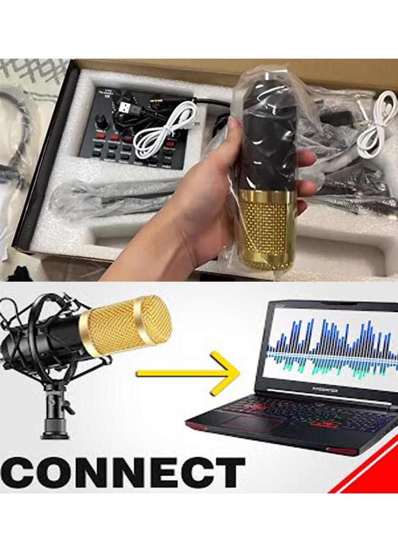 Multifunctional Live Sound Card Microphone Set Condenser Mic With Phantom power for YouTube/Gaming Record
