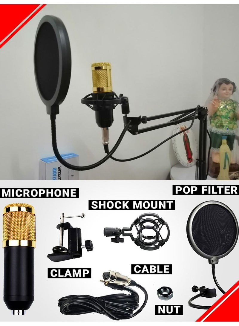 Multifunctional Live Sound Card Microphone Set Condenser Mic With Phantom power for YouTube/Gaming Record