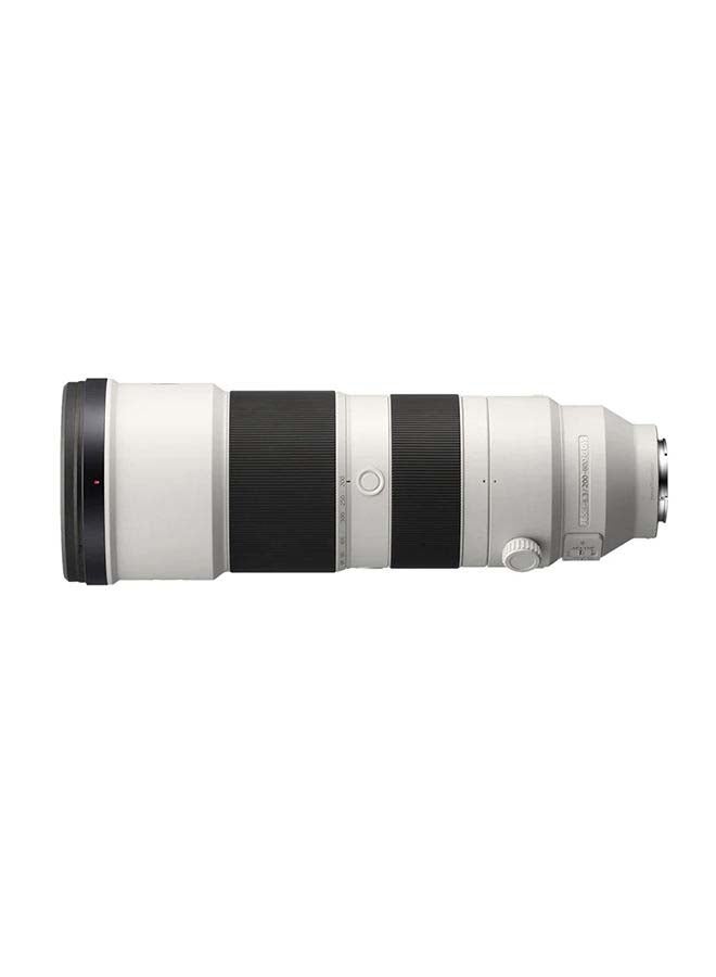 FE 200-600mm F5.6-6.3 G OSS Lens Silver/Black