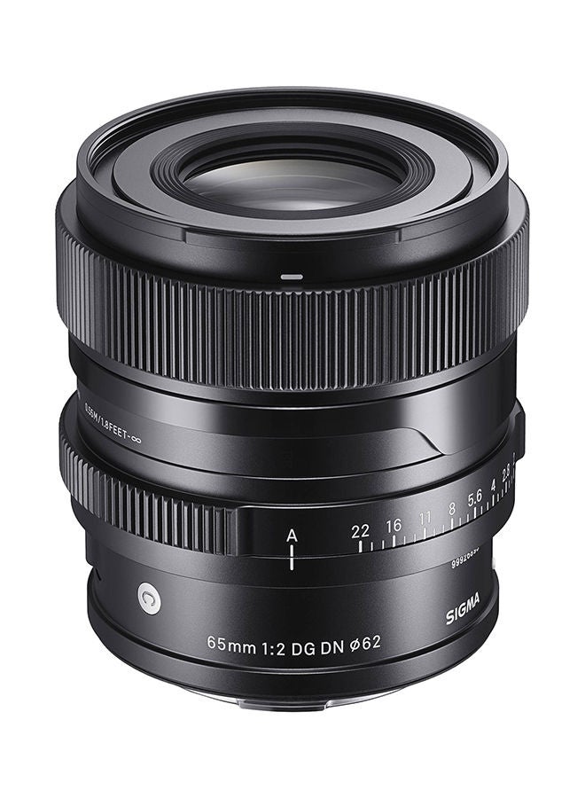 65mm f/2 DG DN Contemporary Lens for Sony E