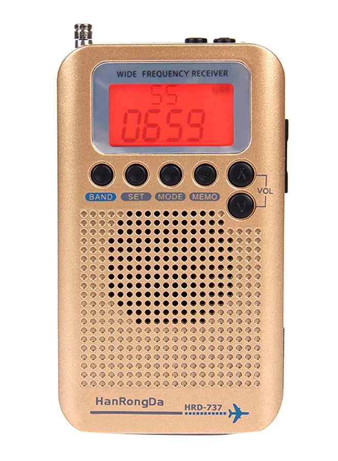 Portable Mini Radio V581 Gold
