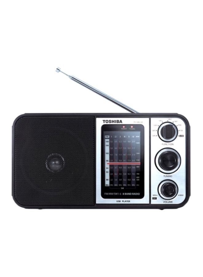 Multi Band Radio With USB TY-HRU30 Black/Silver