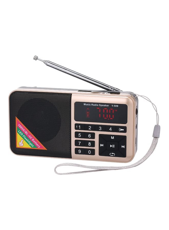 FM Radio With MP3 Player Y-509 Gold/Black/Silver