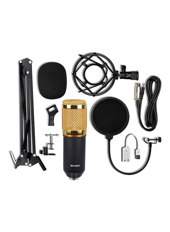 BM-800 Condenser Microphone Kit LU-VH50-43 Black/Gold/Silver