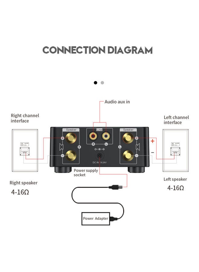 Digital Power Amplifier V8196B-V Black