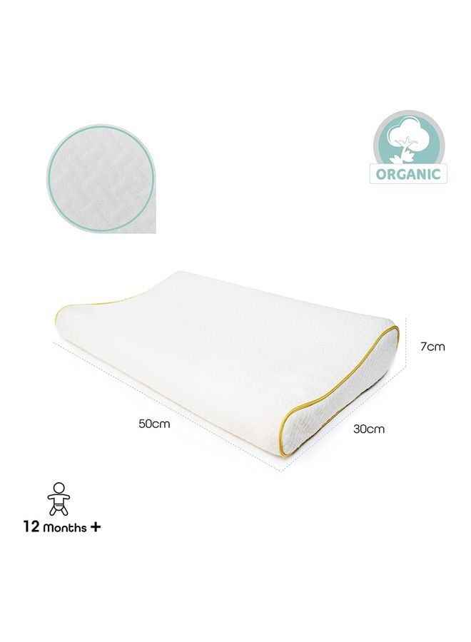 Organic Cool Pillow Fabric