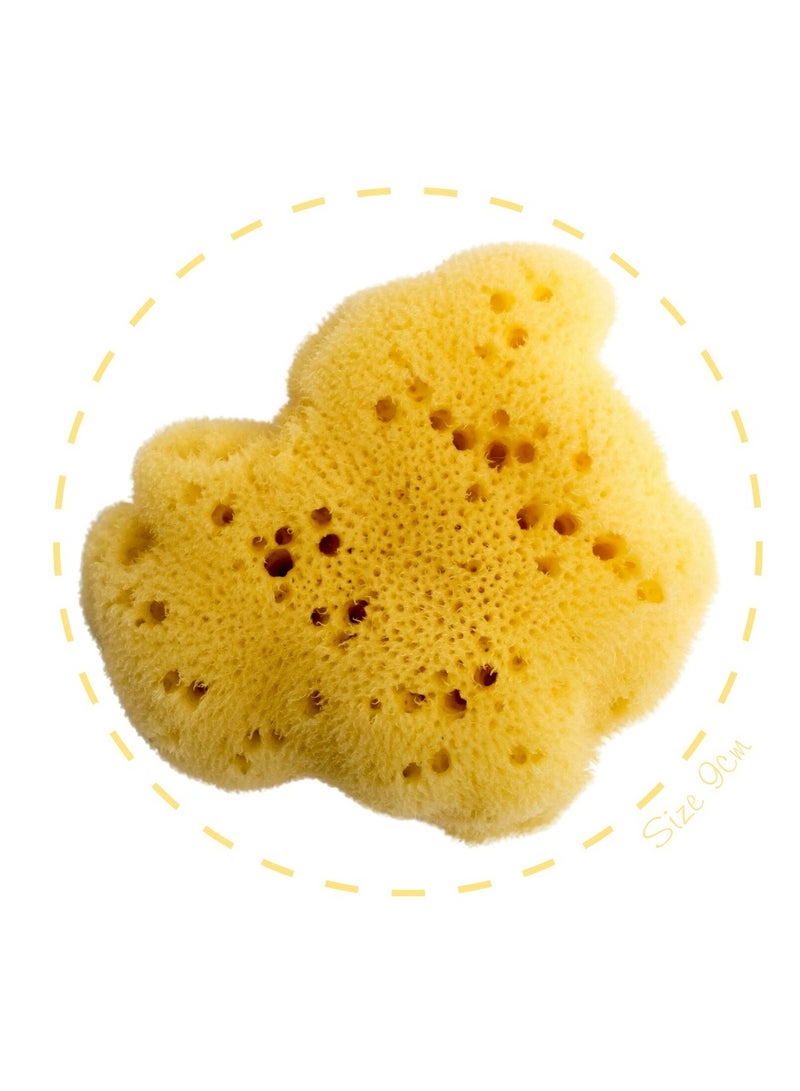 Fine Silk Sea Sponge 100% Natural Size-18 Piece Of One