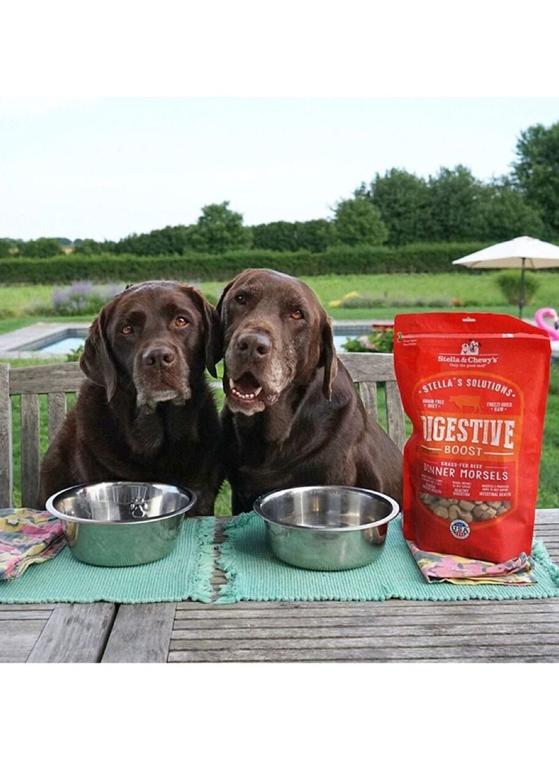Digestive Boost Grass-Fed Beef Recipe Freez Dired Food For Dog 13 Oz