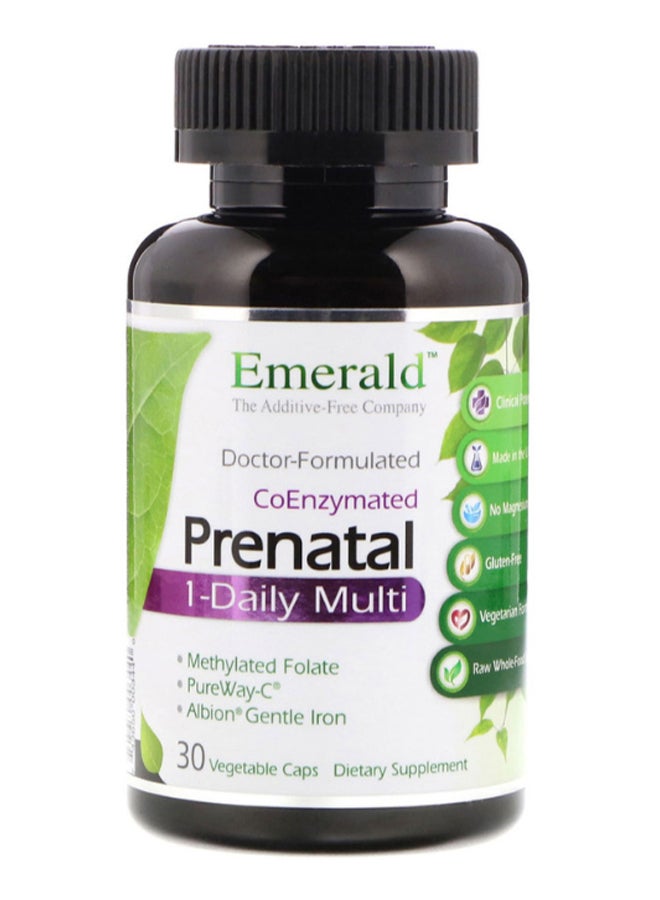 CoEnzymated Prenatal 1-Daily Multi - 30 Capsules